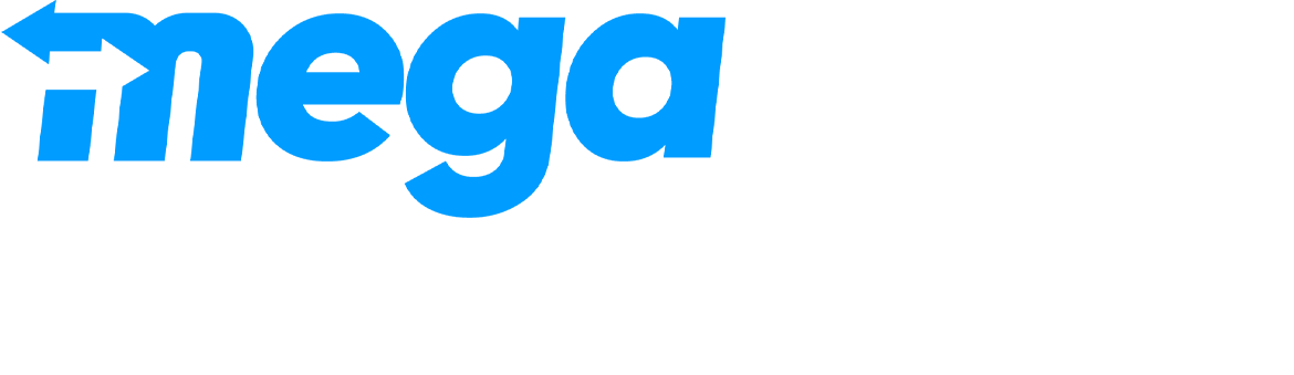 MegaPayzWallet